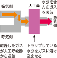人工鼻の構造写真